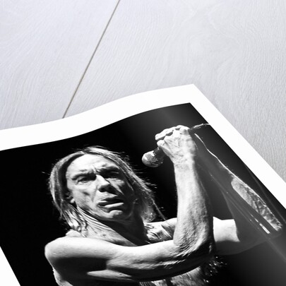 Iggy Pop and The Stooges (1) by Karen Toftera